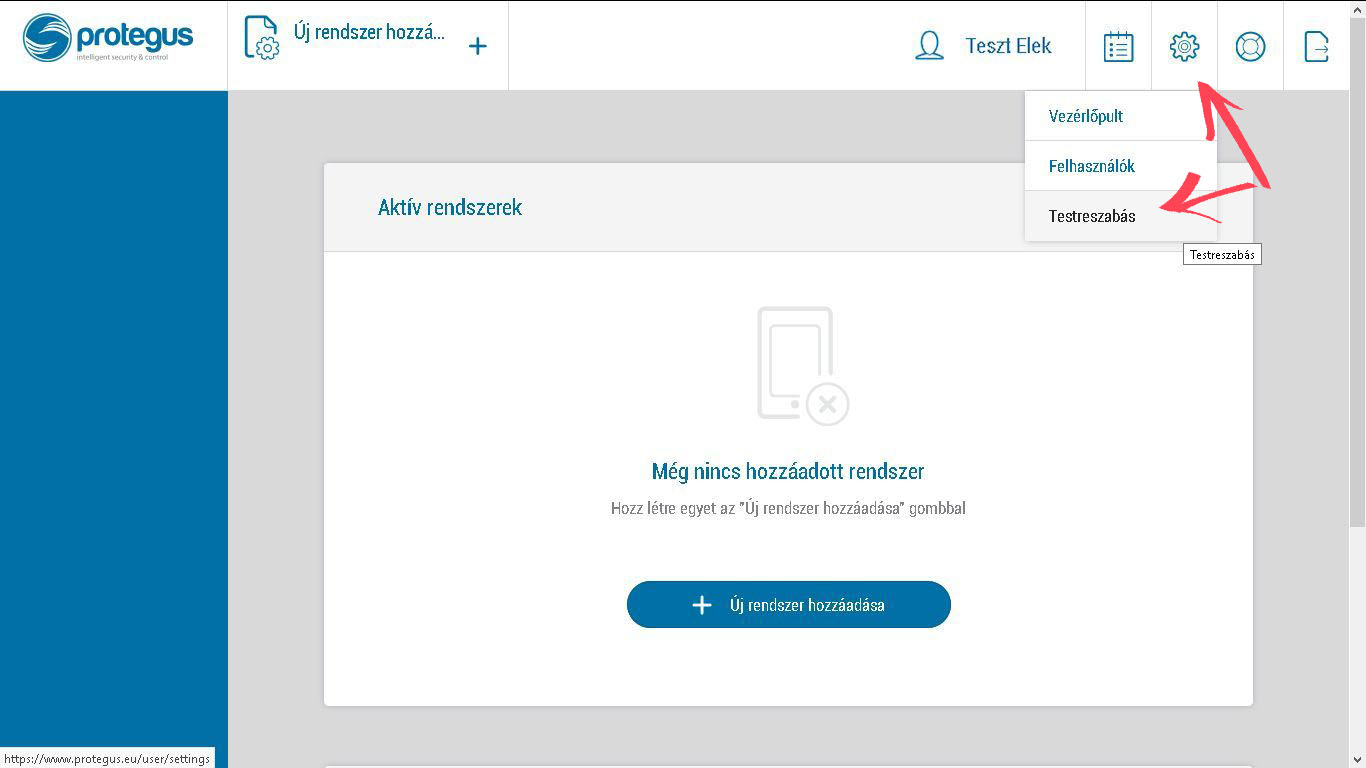 Protegus main page: customisation